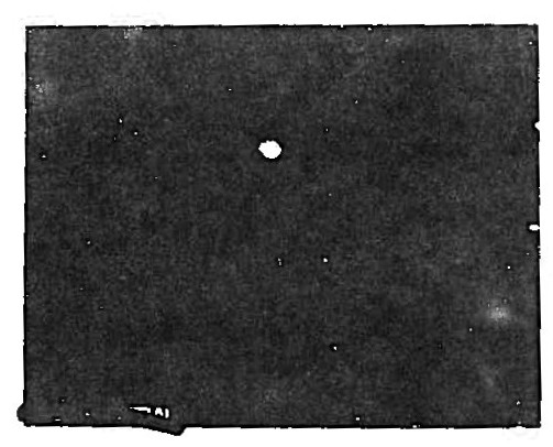 Holloman AFB MTHT Image 1 August 1950