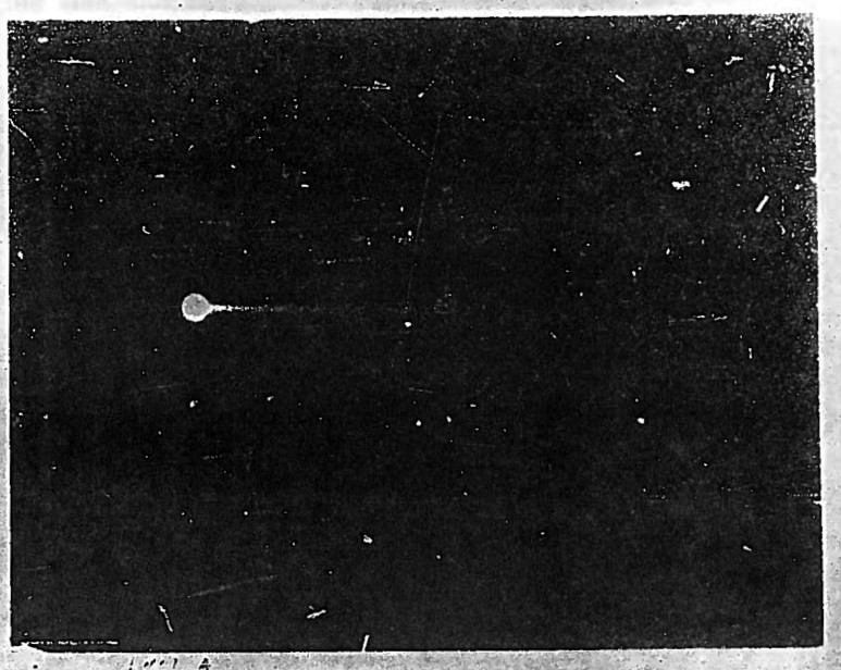 Datil, New Mexico, Fireball 24 February, 1950