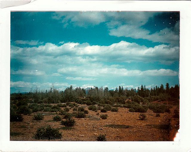 Polaroid Image Showig Uneven Developing Chemical Distribution