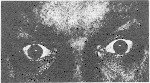 Pg 158 eyeball photo