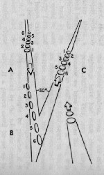 Chesapeake Bay Case